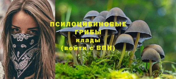 MESCALINE Майский