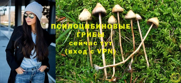 MESCALINE Майский